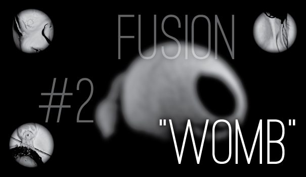 Fusion #2 - "Womb"