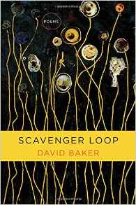 Scavenger Loop by David Baker