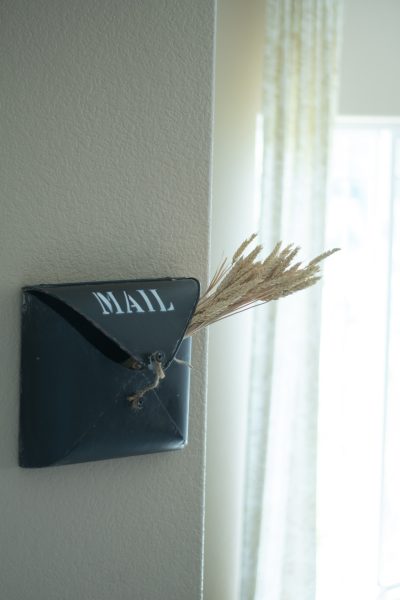 A mailbox hanging on a wall, with wheat sticking out of it.